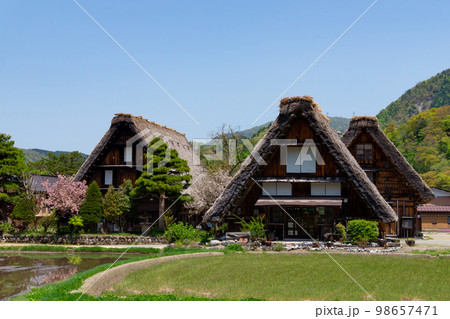 春の白川郷 98657471