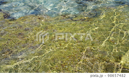 Clear sea water near the coast of Mallorca 98657482