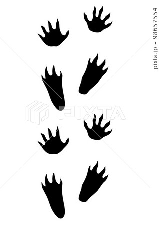 Animals feet track. Crocodile black paw, walking feet silhouette or footprints. Trace step imprints isolated on white. Walking tracks paws illustration 98657554