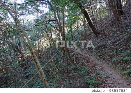 湖西連峰ハイキングコースの景色 湖西連峰ハイキングコースの景色 98657684