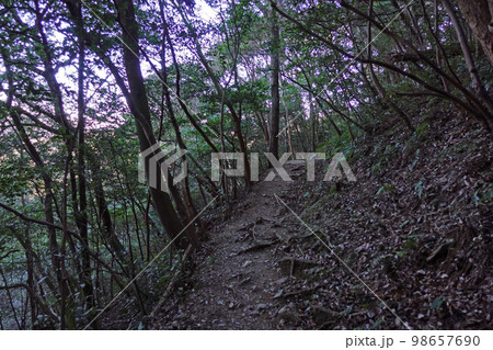 湖西連峰ハイキングコースの景色 98657690