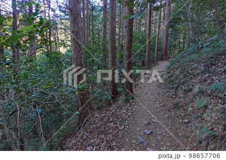 湖西連峰ハイキングコースの景色 湖西連峰ハイキングコースの景色 98657706