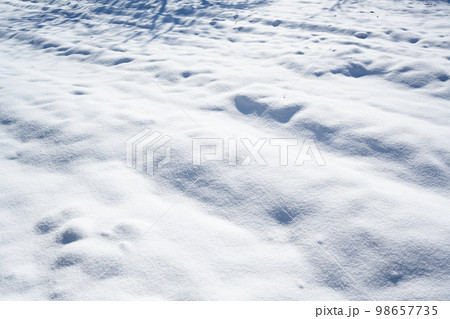 雪面の風景 雪面の風景 98657735