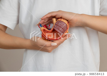 woman is holding mock stomach in the hands. Help and care concept woman is holding mock stomach in the hands. Help and care concept 98658413