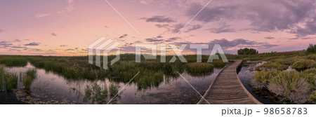 Wooden walkway over the lake in the rain 98658783