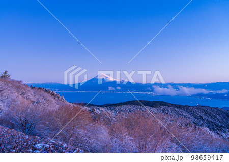 (静岡県)降雪した達磨山高原から望む富士山 (静岡県)降雪した達磨山高原から望む富士山 98659417