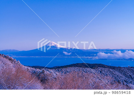 (静岡県)降雪した達磨山高原から望む富士山 (静岡県)降雪した達磨山高原から望む富士山 98659418