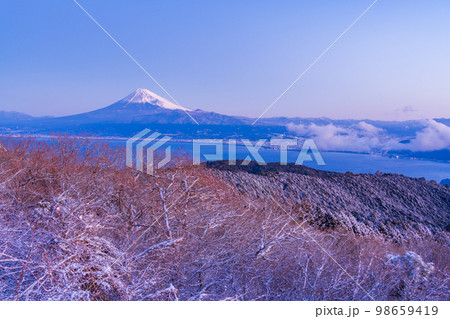 (静岡県)降雪した達磨山高原から望む富士山 (静岡県)降雪した達磨山高原から望む富士山 98659419