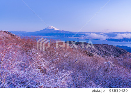 (静岡県)降雪した達磨山高原から望む富士山 (静岡県)降雪した達磨山高原から望む富士山 98659420