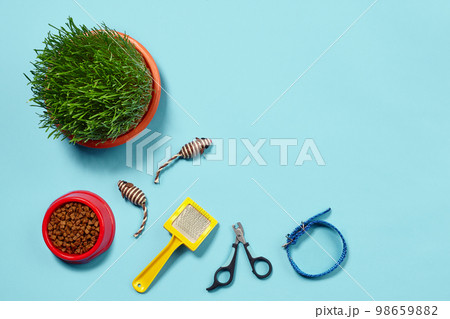 Flat lay composition with accessories for a cat on a blue background. Pet care. 98659882
