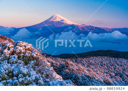 （静岡県）降雪した達磨山高原から望む富士山 98659924