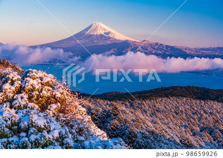 （静岡県）雪化粧した達磨山高原から望む富士山 98659926
