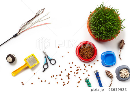 Flat lay composition with accessories for a cat isolated on white background. Pet care. Flat lay composition with accessories for a cat isolated on white background. Pet care. 98659928