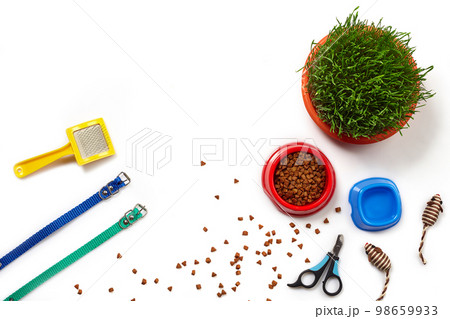 Flat lay composition with accessories for a cat isolated on white background. Pet care. 98659933