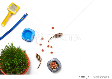 Flat lay composition with accessories for a cat isolated on white background. Pet care. Flat lay composition with accessories for a cat isolated on white background. Pet care. 98659981
