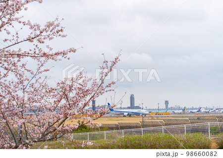 桜と飛行機 98660082