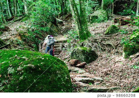 【世界遺産 嚴島神社】初秋の弥山登山道と登山者2 広島県廿日市市 【世界遺産 嚴島神社】初秋の弥山登山道と登山者2 広島県廿日市市 98660208