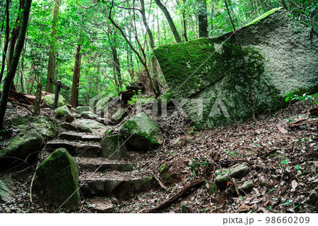 【世界遺産 嚴島神社】初秋の弥山登山道1 広島県廿日市市 【世界遺産 嚴島神社】初秋の弥山登山道1 広島県廿日市市 98660209