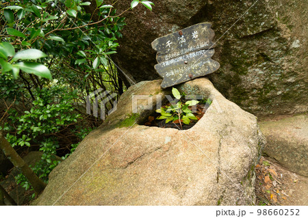 【世界遺産 嚴島神社】弥山山上にある干満岩 広島県廿日市市 【世界遺産 嚴島神社】弥山山上にある干満岩 広島県廿日市市 98660252
