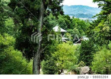 【世界遺産　嚴島神社】大聖院と弥山を結ぶ参道から見た大聖院1　広島県廿日市市 98660264