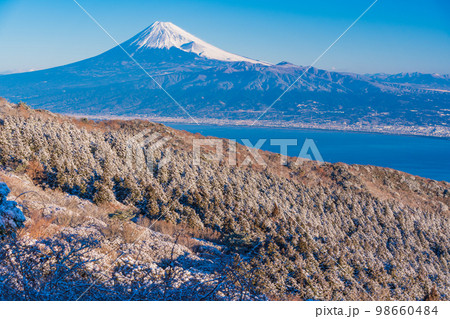（静岡県）雪化粧した達磨山高原から望む富士山 98660484
