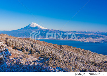 （静岡県）雪化粧した達磨山高原から望む富士山 98660485