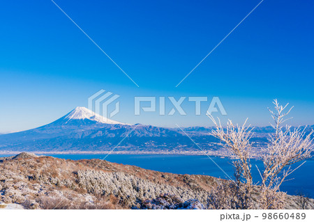 （静岡県）雪化粧した達磨山高原から望む富士山 98660489