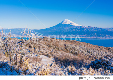 （静岡県）雪化粧した達磨山高原から望む富士山 98660490