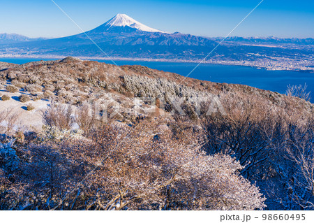 （静岡県）雪化粧した達磨山高原から望む富士山 98660495