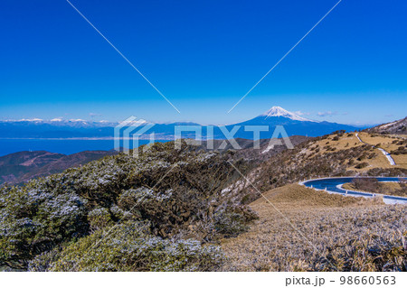 （静岡県）雪化粧した達磨山高原から望む富士山 98660563