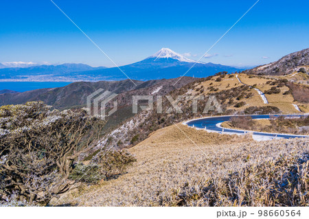 （静岡県）雪化粧した達磨山高原から望む富士山 98660564