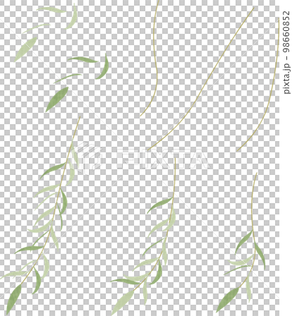 柳のイラスト 柳のイラスト 98660852