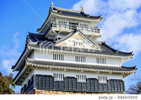 岐阜県　晴天下の岐阜城 98660860