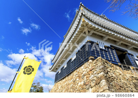 岐阜県　晴天下の岐阜城 98660864