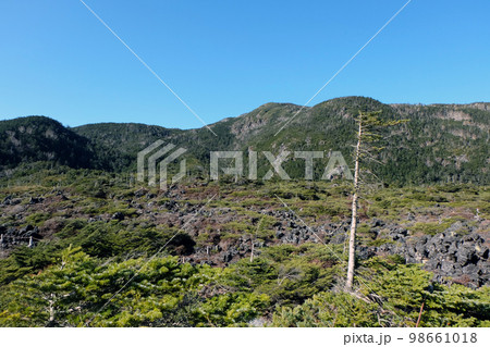 北八ヶ岳ロープウエイ 坪庭風景 北八ヶ岳ロープウエイ 坪庭風景 98661018