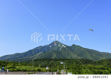 北海道　利尻島　利尻山 98661091
