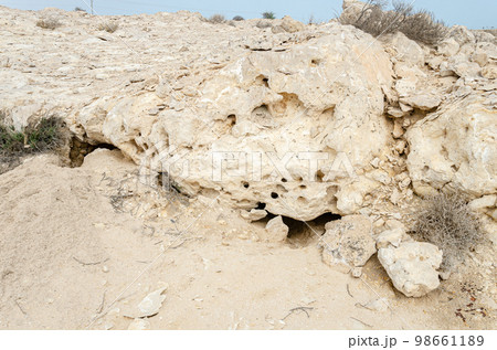 Limestone hillocks at Purple Island at Al Khor in Qatar 98661189