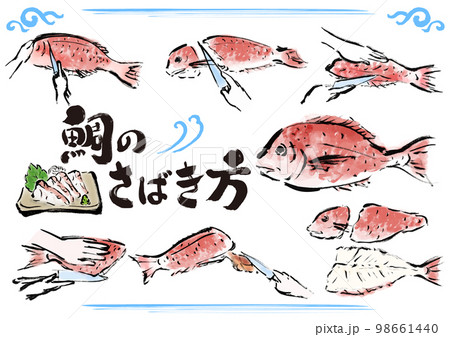 鯛のさばき方　魚をさばく手順　手描き和風イラストセット 98661440