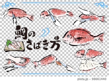 鯛のさばき方　魚をさばく手順　手描き和風イラストセット 98661440