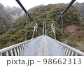 宮崎県、綾町にある長さ250m綾照葉大吊橋(1) 98662313