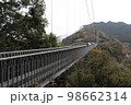 宮崎県、綾町にある長さ250m綾照葉大吊橋(2) 98662314