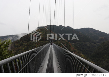 宮崎県、綾町にある長さ250m綾照葉大吊橋(3) 98662315