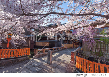 京都祇園白川　桜満開の巽橋 98662453