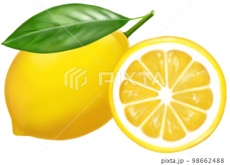 レモン 檸檬 葉っぱ付き 半分カット 断面 98662488