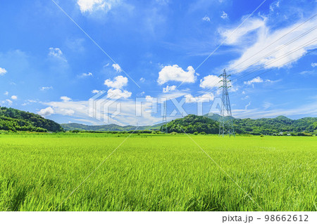 田舎の風景 田舎の風景 98662612
