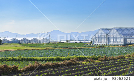 田舎の風景 田舎の風景 98662621