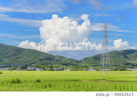 田舎の風景 98662623