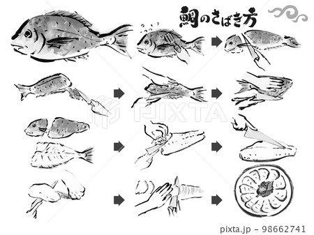 鯛のさばき方　魚をさばく手順　手描き和風イラストセット　白黒,モノクロ,単色, ベクター 98662741