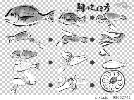 鯛のさばき方　魚をさばく手順　手描き和風イラストセット　白黒,モノクロ,単色, ベクター 98662741