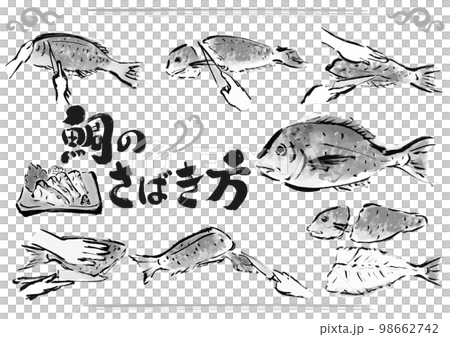 鯛のさばき方　魚をさばく手順　手描き和風イラストセット　白黒,モノクロ,単色, ベクター 98662742